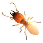 Advantages of anti termite additive masterbatch