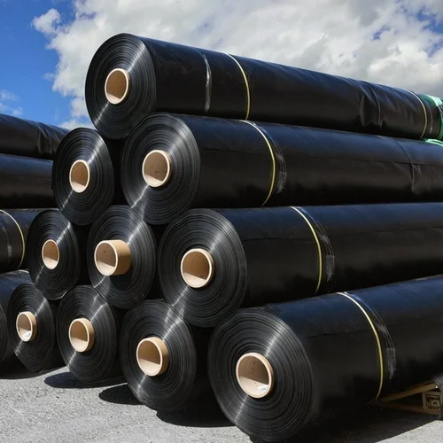 Black Geo membrane