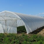 Masterbatches for Greenhouse Film