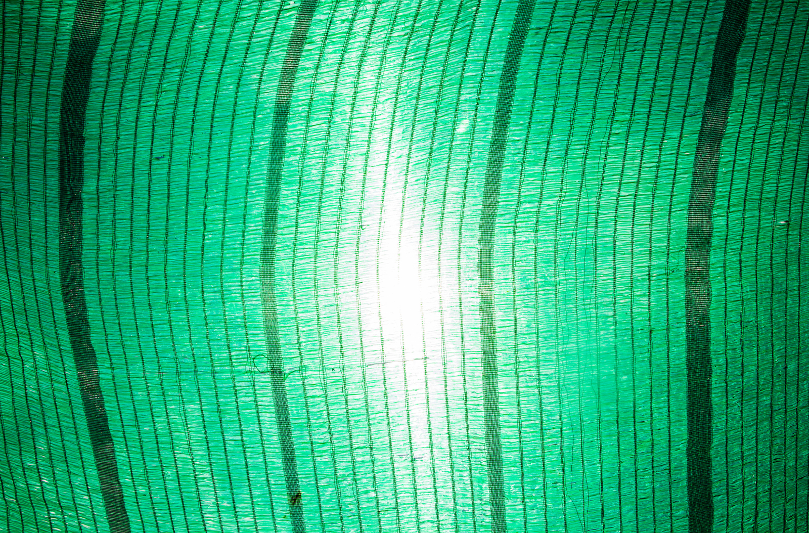 UV Green shade Net