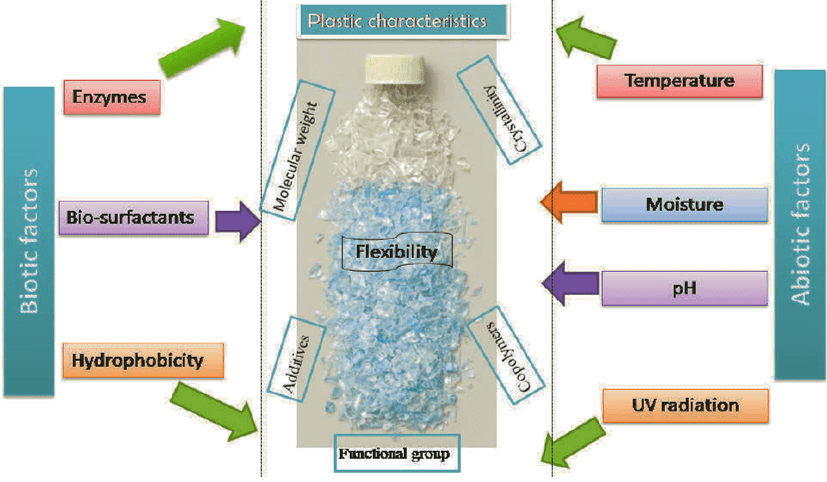 Biodegradable plastic