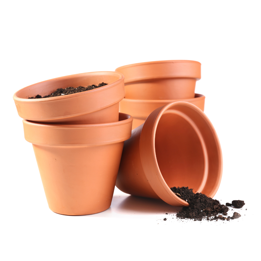 Black plastic plant pot on a white background