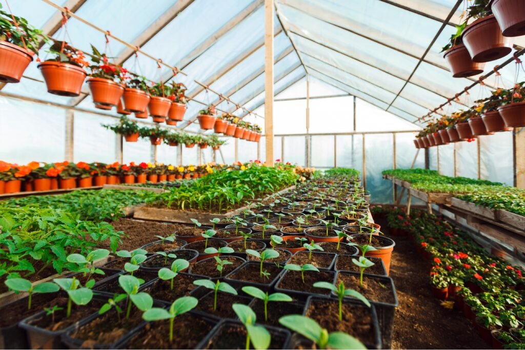 Green House