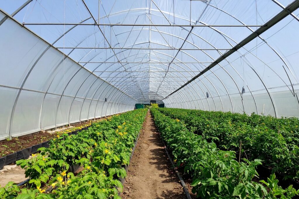 Green House
