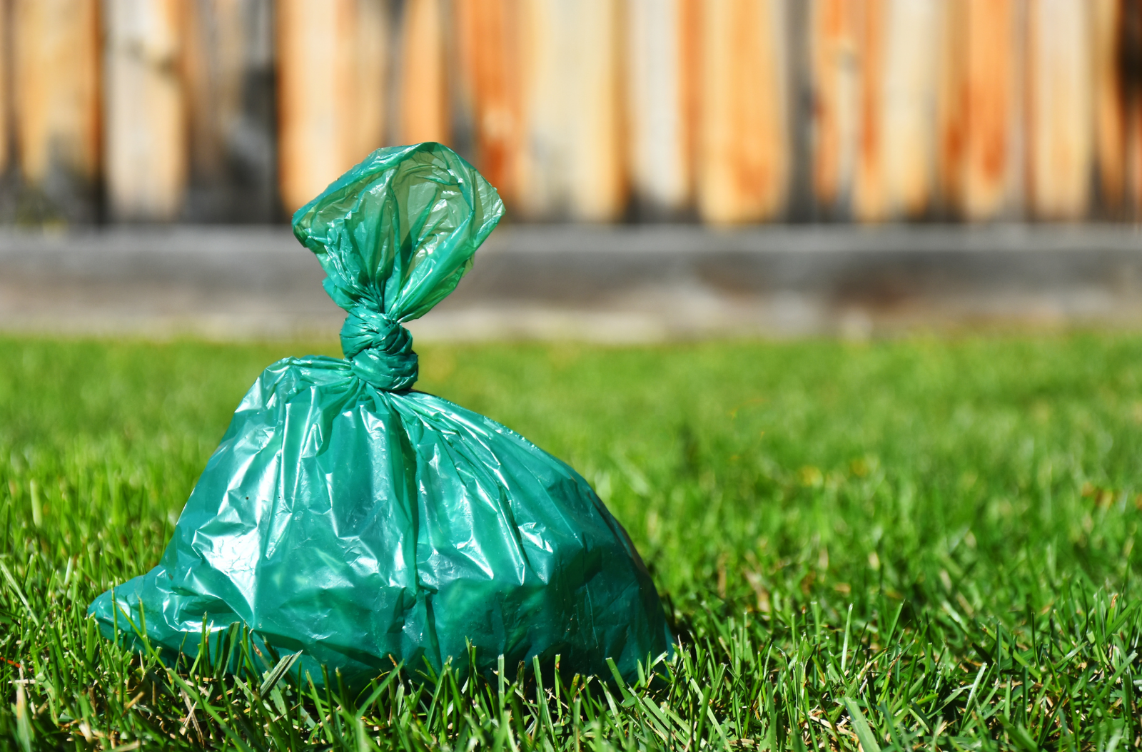 Plast Compostable Compound