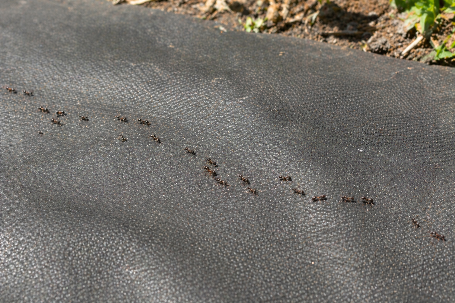 Protected piping system underground