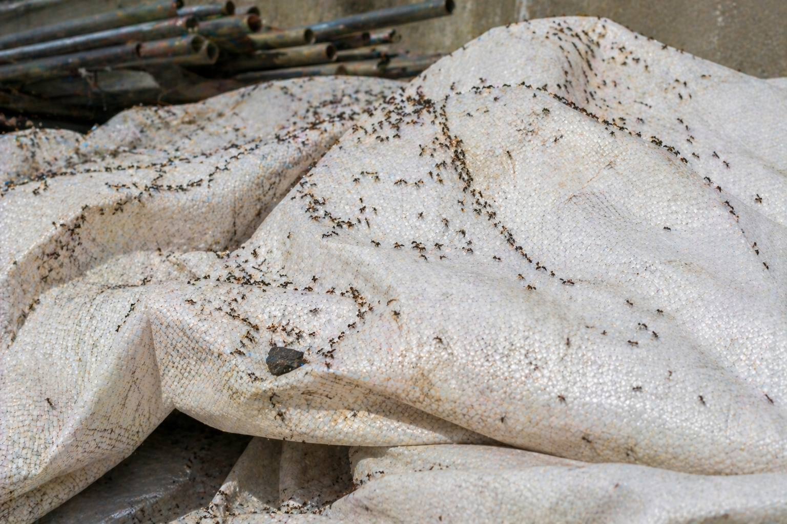 Protected piping system underground