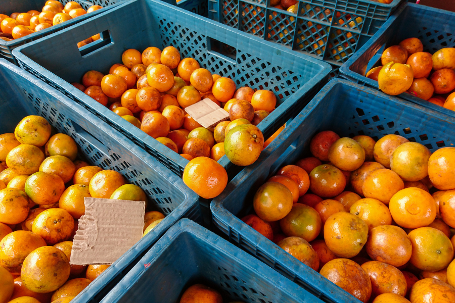Fruit Crates filled with goods in their working environment